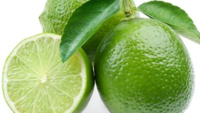 Dieta do Limão um santo remédio para emagrecer