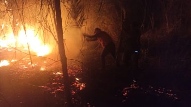 Voluntário combate fogo em Ubaíra