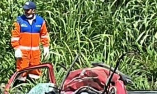 fiat strada vermelha destruída no meio da vegetação