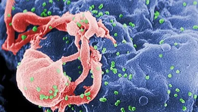 Cientistas encontraram possível cura para o HIV em método inovador