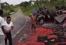 Carreta carregada de acerola