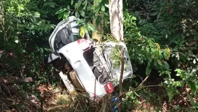 Carro bate em árvore na BR-101 em Ibirapitanga