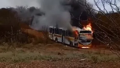 Ônibus escolar pega fogo