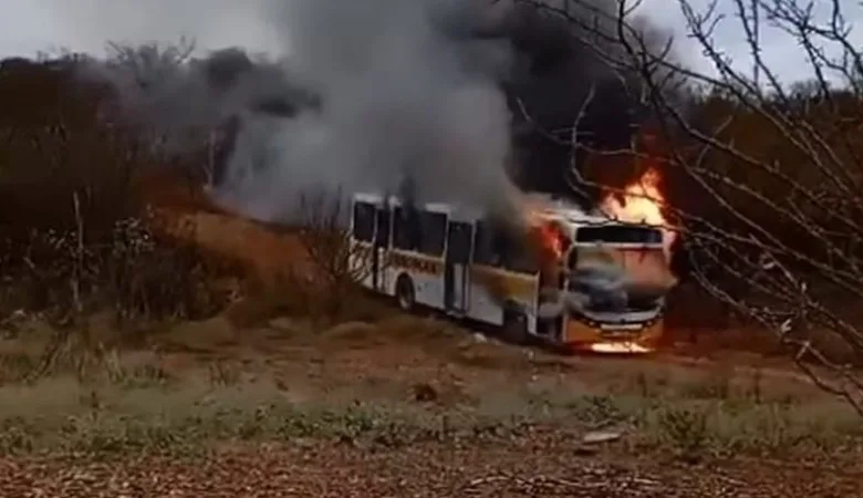 Ônibus escolar pega fogo