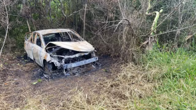 Carro de turistas de SP